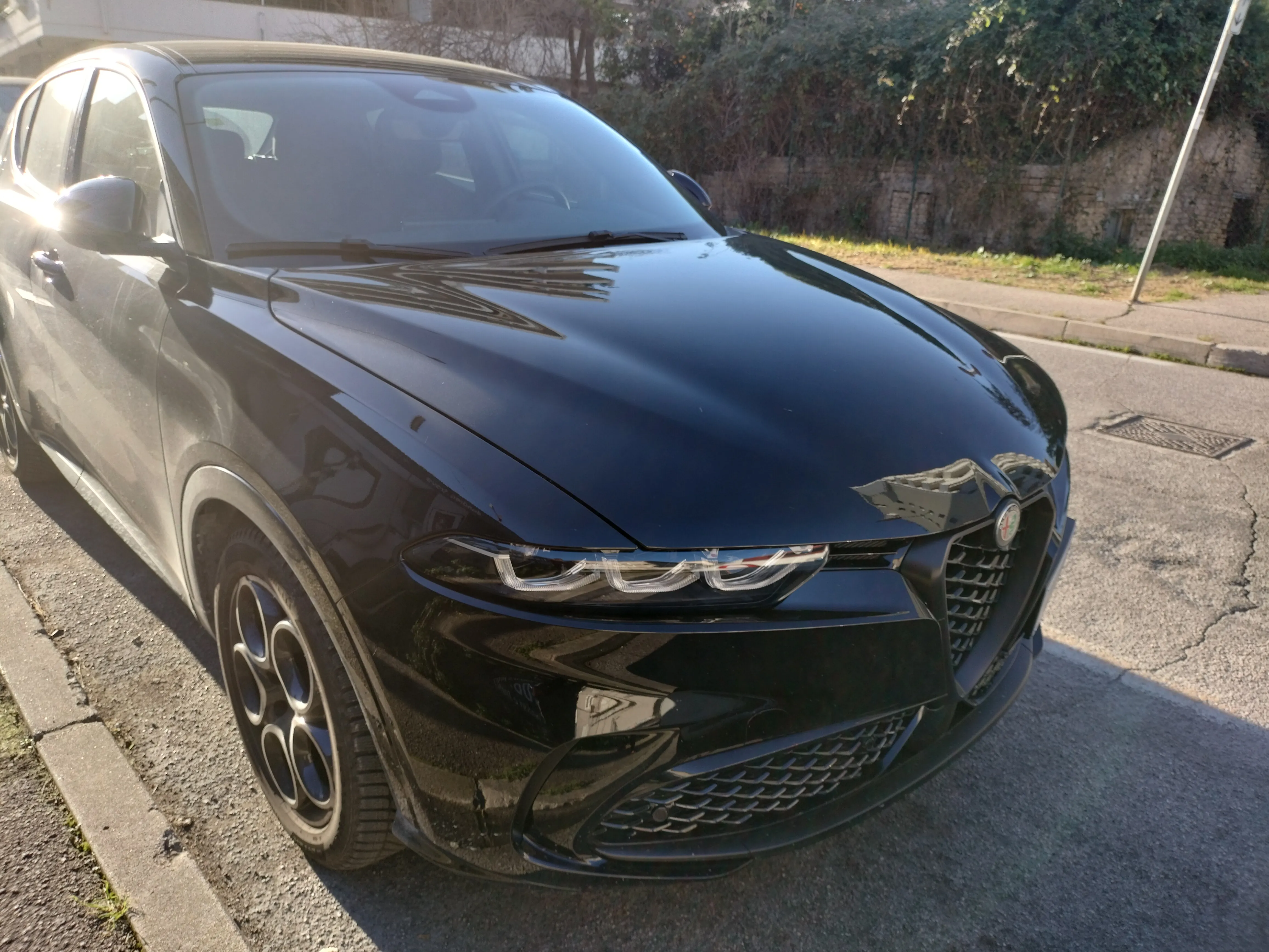 ALFA ROMEO TONALE - Noleggio Lungo Termine